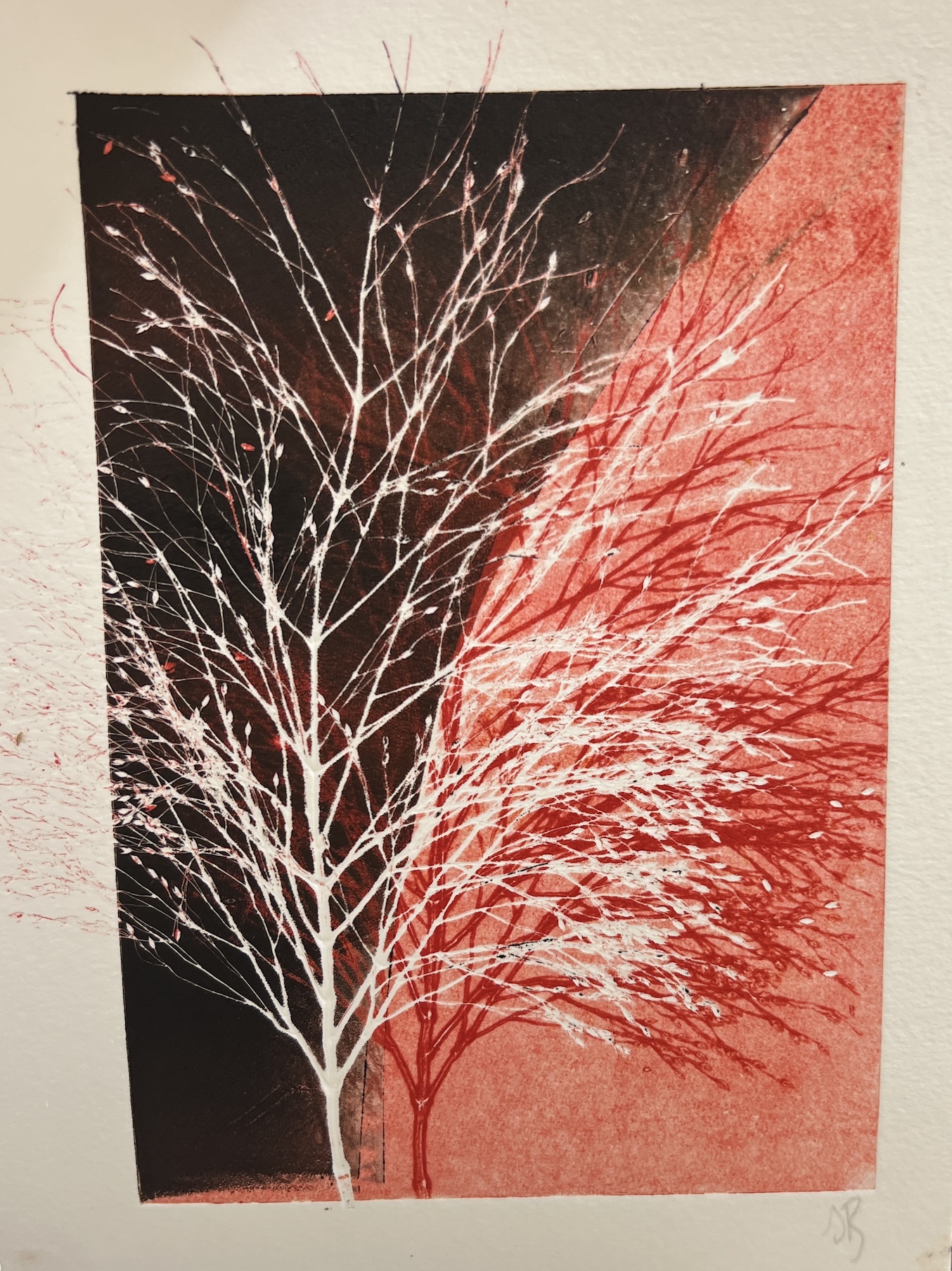 Botanical Mono-printing Workshop