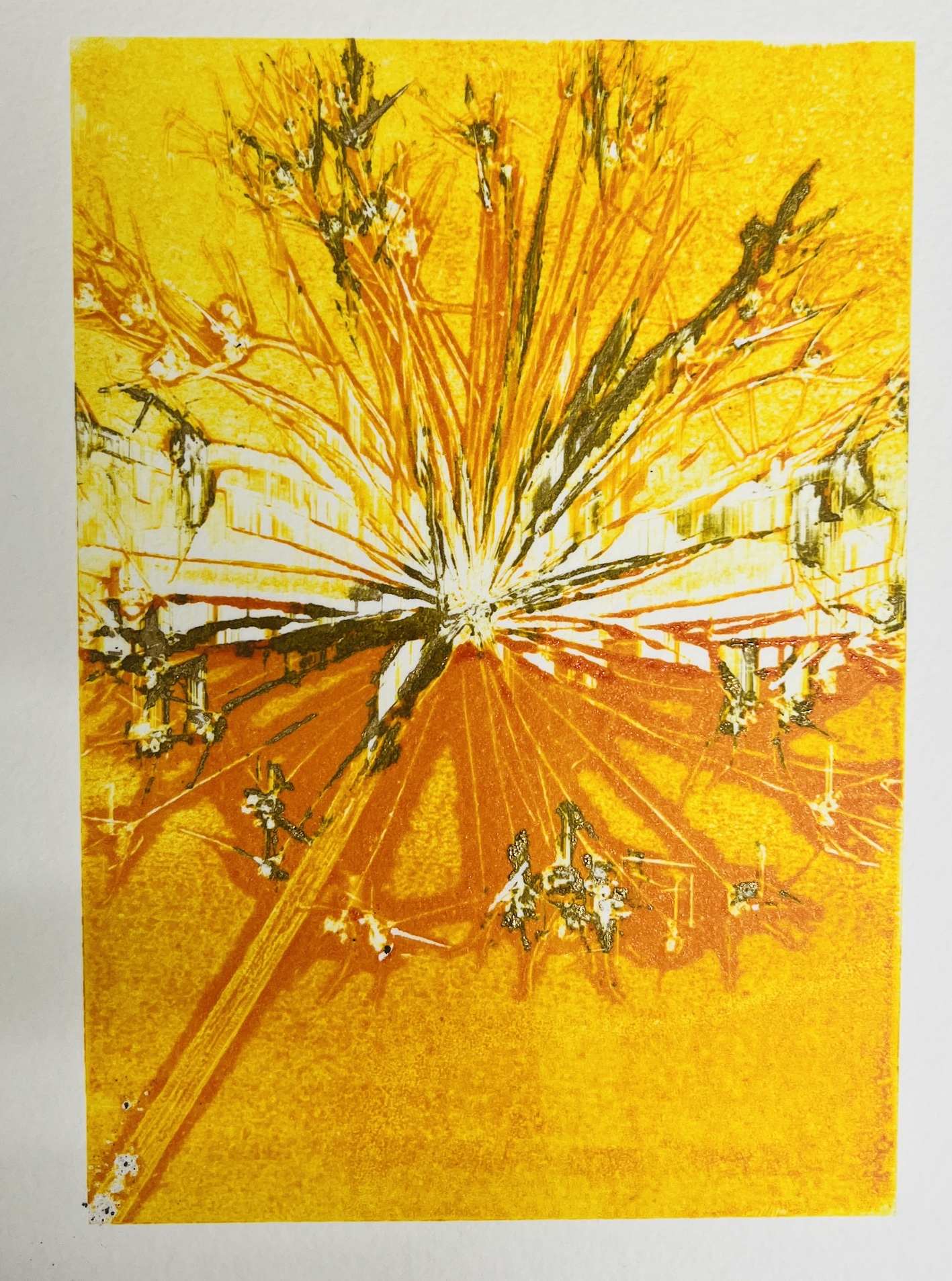 Botanical Mono-printing Workshop